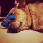 Sam Buller - Facebook