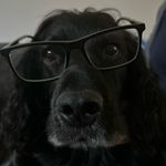 Sam_ bundy - @sam__bundy - Instagram