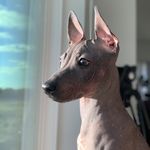 Sambunktious - @sambunktious - Instagram