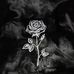 Sam Burch - Facebook