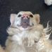 Sam Burford - Facebook