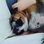 Sam Burger - @samburger63 - Instagram