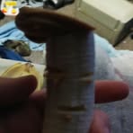 Sam Burger - Facebook