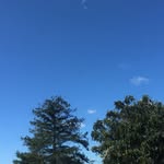 Sam Burger - @sam_burger - Instagram