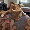 samburger - @samburger73 - TikTok