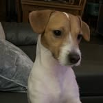 Sam Burgin - @sam_burginn - Instagram