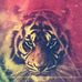 Samantha Burningham - Facebook