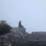 Sam Burr - @burr.sam - Instagram