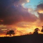 Sam Burrows - @sam_burrows - Instagram