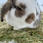 Sam Burt - @thumper_tk_gamer - Instagram