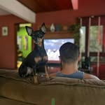 Sam Burton - @samburtoon - Instagram