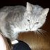 Sam Burton - Facebook