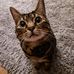 Sam Burton - Facebook