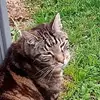 Sam Butts - @sam.butts4 - TikTok