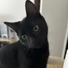 Sam - @sam.byer - TikTok
