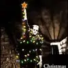 Samantha Byerly - @samantha.byerly4 - TikTok
