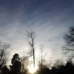 Sam Cagle - @sam_cagle0 - Instagram