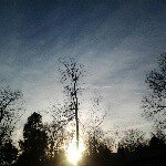 Sam Cagle - @_sam_cagle_ - Instagram