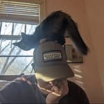 Sam Calhoun - @sjc3d - Instagram