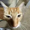 Sam and Callie - @sam.and.callie - TikTok