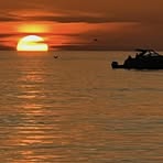 Sam Camp - Facebook