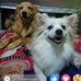 Sam Canciano - Facebook