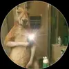 Samuel Candelaria767 - @samuelcandelaria73 - TikTok