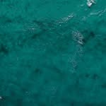 Sam Big Canoe - @sambigcanoe - Instagram