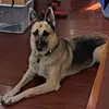 Sam Cardenas - @sam.cardenas71 - TikTok