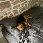 Sam Cardwell - @sam.cardwell08 - Instagram