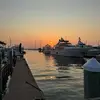 sam - @sam.carl03 - TikTok