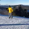 Sam Carmichael - @samcarmichael0 - TikTok