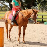 Sam and Chance - @equine_chance - Instagram