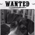 Sam Chance - Facebook
