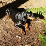 Sam Chaplin - @samchaplin_04 - Instagram
