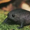 sammyseal - @samchaplin78 - TikTok