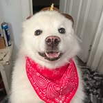 Sam Charles - @sam.charles1313 - Instagram