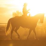 Samuel Chastain - @samuelchastainmusic - Instagram