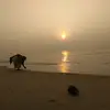 Sam Chatterjee - @samchatterjee0259 - TikTok