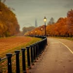 Sam Chatterjee - @samchatterjee14 - Instagram