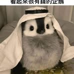 Sam Chen - Facebook