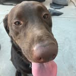 Sam Cheney - @sammy87946 - Instagram