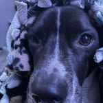 Sam Cheney - @samcheney64 - Instagram