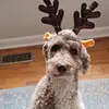 Sam c - @samuel.chenoweth3 - TikTok