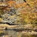 Sam Chenoweth - Facebook