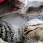 Samchess - @samchess01 - Instagram