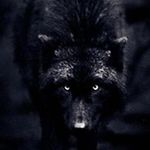 Sam Chester - @sam.chester.3762584 - Instagram