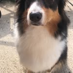 Jeff L - @samchevalier34 - Instagram