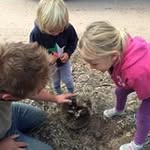Sam Chisholm - @chiso80 - Instagram