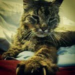 Sam Aka Chuck - @sam_the_bambam - Instagram